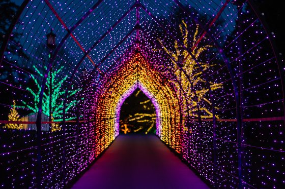 a tunnel of pink, yellow, and orange lights